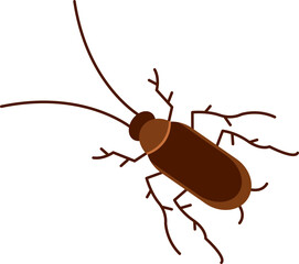 Cockroach