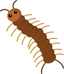 centipede