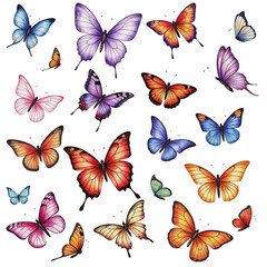 Beautiful Collection of Colorful Butterflies in Watercolor
