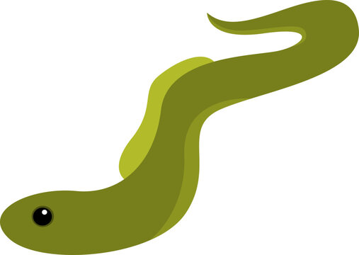 Unagi