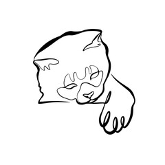 Cat Hiding – Minimalist One Line Art of a Peeking Pet, Continuous Line Illustration for Logos, Tattoos, and Clip Art