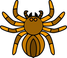 Illustration of a Tarantula Spider