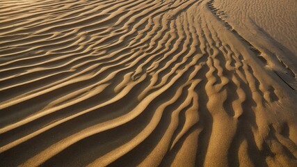 Fototapeta premium A mesmerizing view of golden sand dunes showcases wavy patterns created by wind and time, evoking feelings of tranquility and natural beauty.