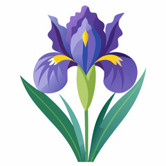 Naklejka premium Iris flower isolated vector