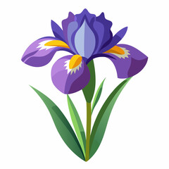 Iris flower isolated vector