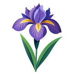 Iris flower isolated vector