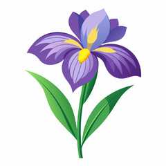 Iris flower isolated vector