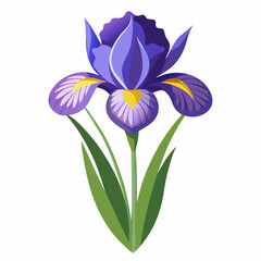 Naklejka premium Iris flower isolated vector