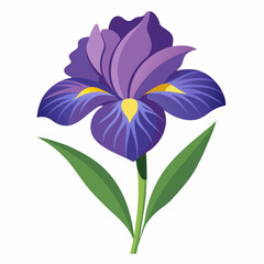 Iris flower isolated vector