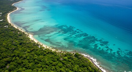 Obraz premium Tropical Coastline Aerial