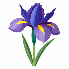 Naklejka premium iris flower isolated on white background