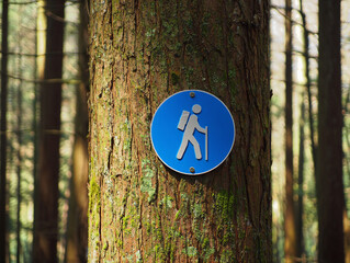 Blue hiking trail sign on a tree trunk in a forest, guiding hikers on their outdoor adventure.