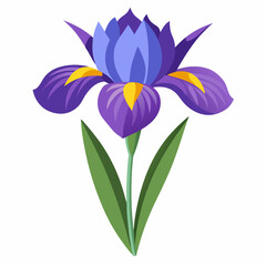 Iris flower isolated vector