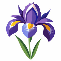 Iris flower isolated vector