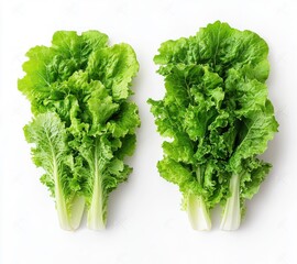 Fototapeta premium Fresh Lettuce Flat Lay Creative Layout Healthy Salad Concept