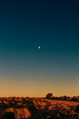 sunset in the desert