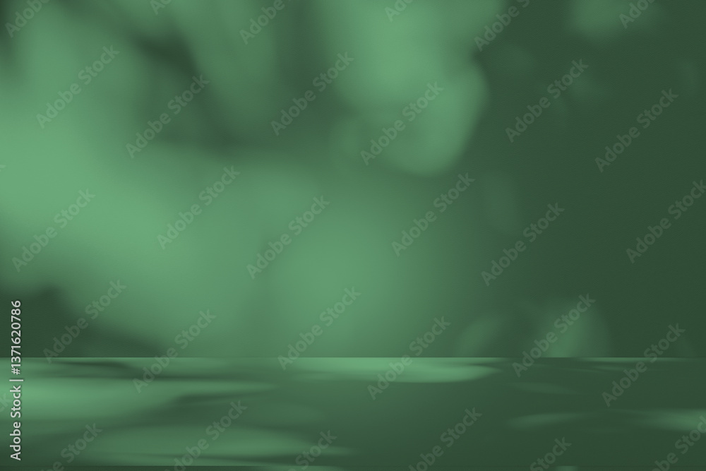 Poster Wall interior background, studio and backdrops show products. with leaf shadow from window color green and white. background for text insertion and presentation of product	