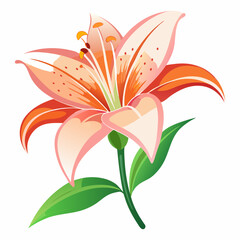 Naklejka premium Lily flower isolated vector
