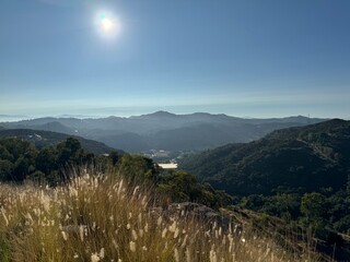 hazy sunrise over the mountains, forest and wildflowers - Escondido, California, USA