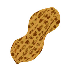 Illustration of close up peanut isolated