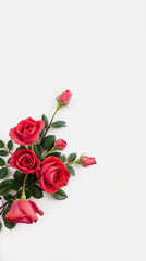 High-angle, high-resolution stock photo minimalist floral composition. Soft pastel colors, roses in early bloom&mdash;red&mdash;lush green foliage. Bottom-corner arrangement against white background.