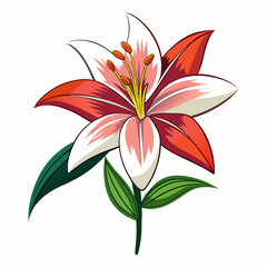 lily flower isolated vector