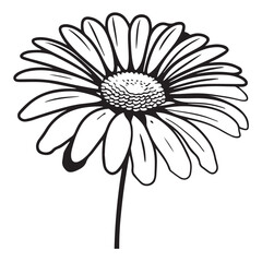 Daisy flower outline flat icon  isolated on white background