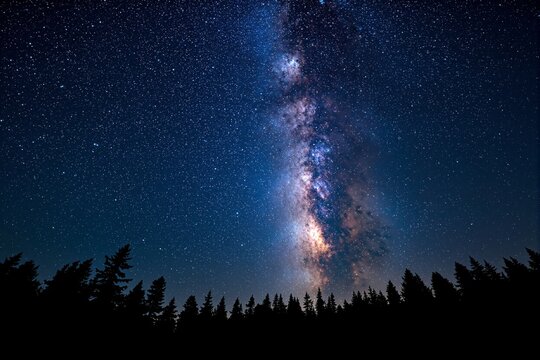 Star-filled sky and Milky Way above forest silhouette, natural night photography style on cosmic background. Concept of universe mystery. Ai generative - Powered by Adobe