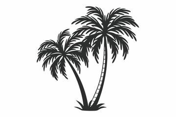 palm  tree is very beautiful