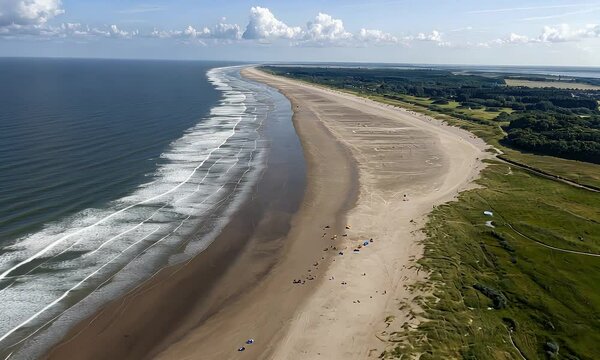 Aerial View of a Serene Beach with Gentle Waves and Lush Greenery Under a Clear Sky
