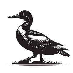 Black Great Auk Silhouette Vector, High Quality Illustration on White Background