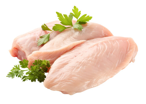 Raw chicken meat in breast part with Chinese parsley leaves in heap isolated and generated with AI in png file format