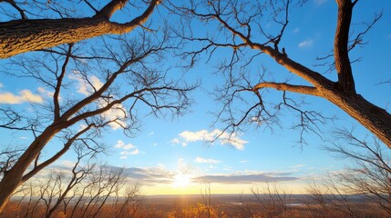 Autumn Sunset View from Hilltop with Bare Trees
