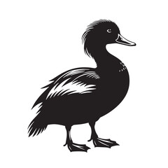 Black Madagascar Pochard Silhouette Vector, High Quality Illustration on White Background