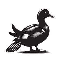 Black Madagascar Pochard Silhouette Vector, High Quality Illustration on White Background