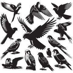 Black Mauritius Kestrel Silhouette Vector, High Quality Illustration on White Background