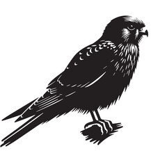 Obraz premium Black Mauritius Kestrel Silhouette Vector, High Quality Illustration on White Background