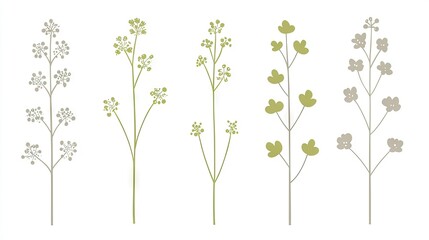 Five stylized botanical illustrations; green, grey; nature, design, element, background, website