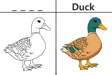 Duck coloring pages for kids and learn to recognize letters, animal recognition card media for various games in early childhood learning
