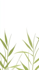 Fototapeta premium Green leaves border, nature background, minimalist design, invitation template