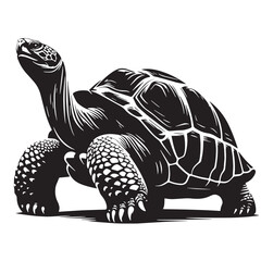 Black Pinta Island Tortoise Silhouette Vector, High Quality Illustration on White Background
