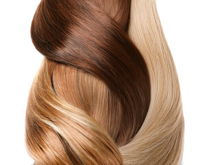 Detailed shots of different hair types and textures