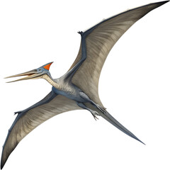 Realistic Pteranodon soaring high with majestic prehistoric wings. © Pram