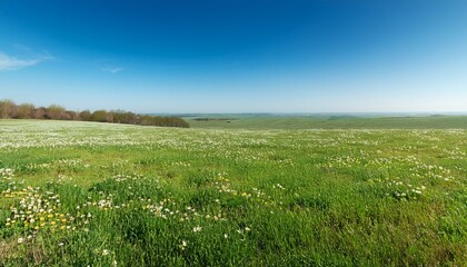 青空の広がるシンプルな風景、隅に春の野花が少しだけ顔を覗かせ、広いコピースペースが開放的な印象を与える

