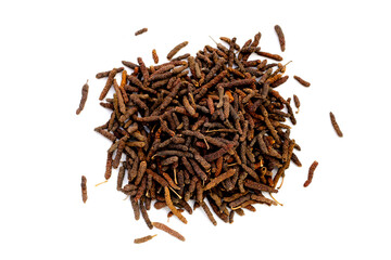 Dried long pepper or Indian long pepper