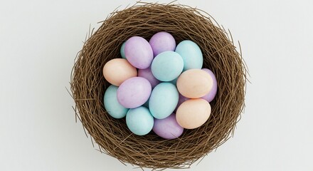 Fototapeta premium Easter eggs with white clear background in the nest