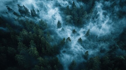 Aerial View of a Foggy Forest with Dark Green Trees