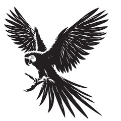 Obraz premium Black Spix’s Macaw Silhouette Vector, High Quality Illustration on White Background