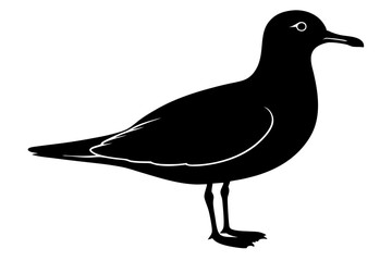 silhouette of a bird