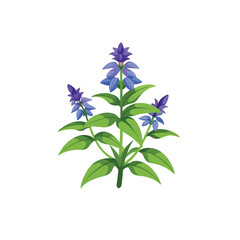 Blue flowers with leaves isolated on a white background